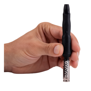 b2 in hand view.png