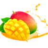 mango 08021aab 2d64 4847 9a24 5873a58717e3.png