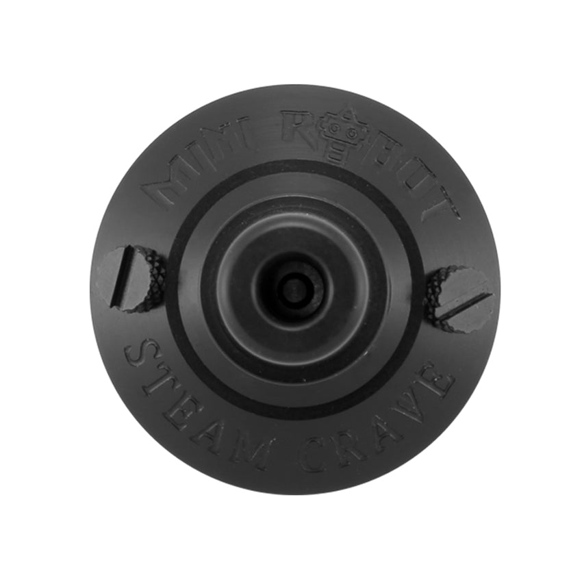 mini robot rta 7.jpg