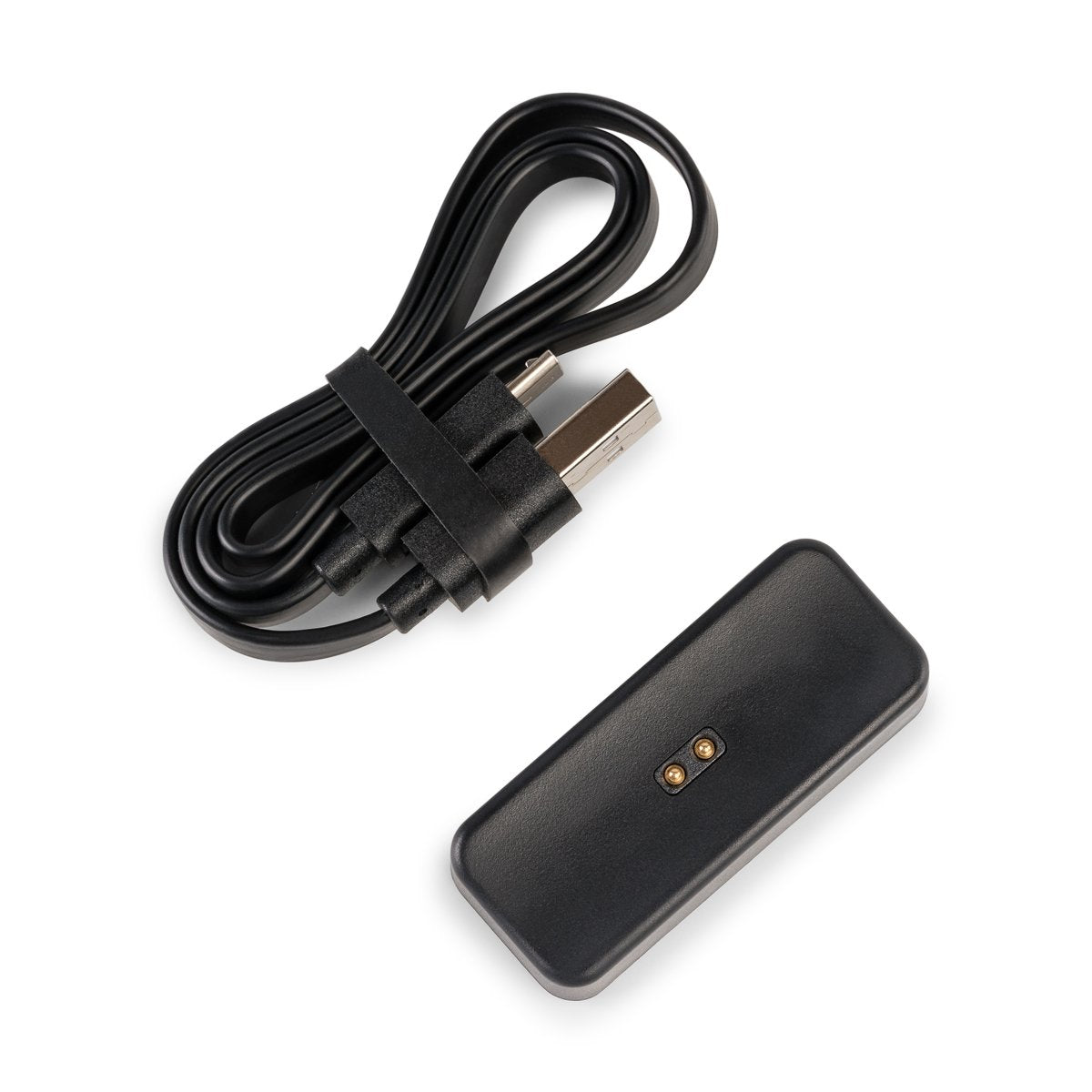 pax2 pax3 charging dock3 79b76af1 0410 4356 8958 a20510a2271f.jpg