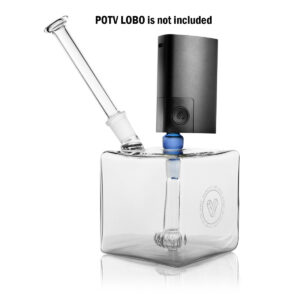 potvlobowithdisclaimercube 2.jpg