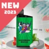 watermelon mint ice.webp