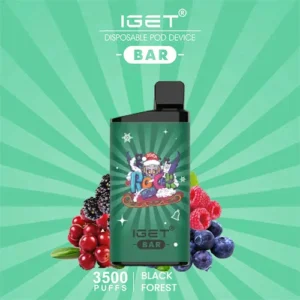 bar black forest.webp