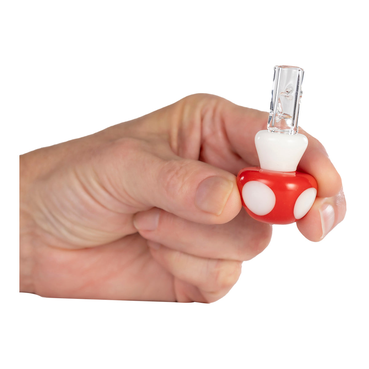 drip tip mushroom in hand view.jpg