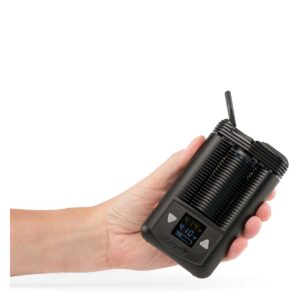 mighty vaporizer in hand storz bickel.jpg