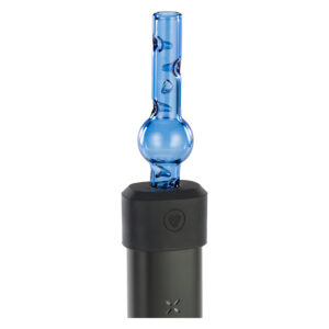 pax accessory adapter with globe glass.jpg