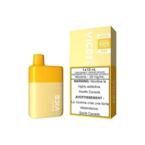 vice box 6000 puffs disposable vape 5 pack 1153893183.jpg